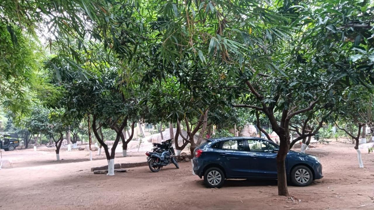Shankar Homestay Hampi Ngoại thất bức ảnh