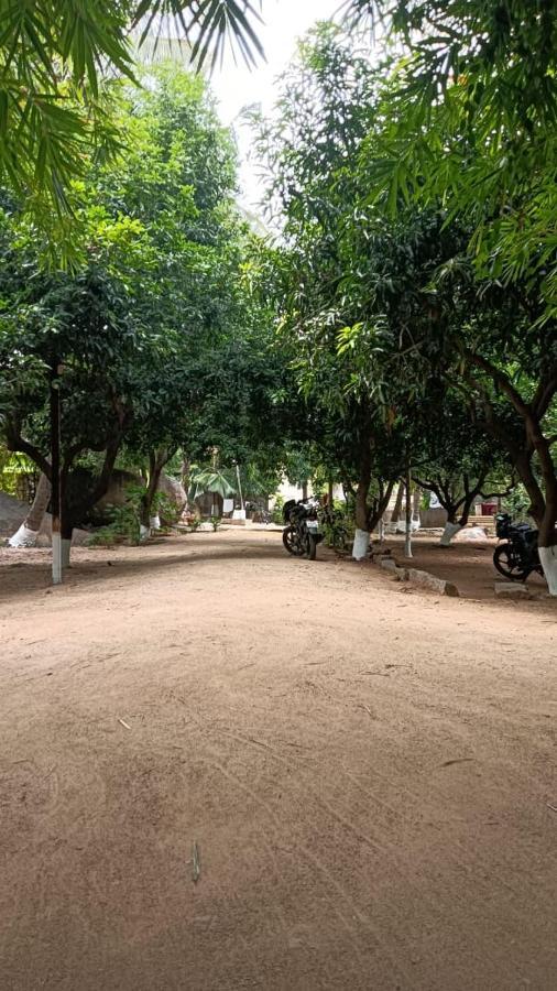 Shankar Homestay Hampi Ngoại thất bức ảnh
