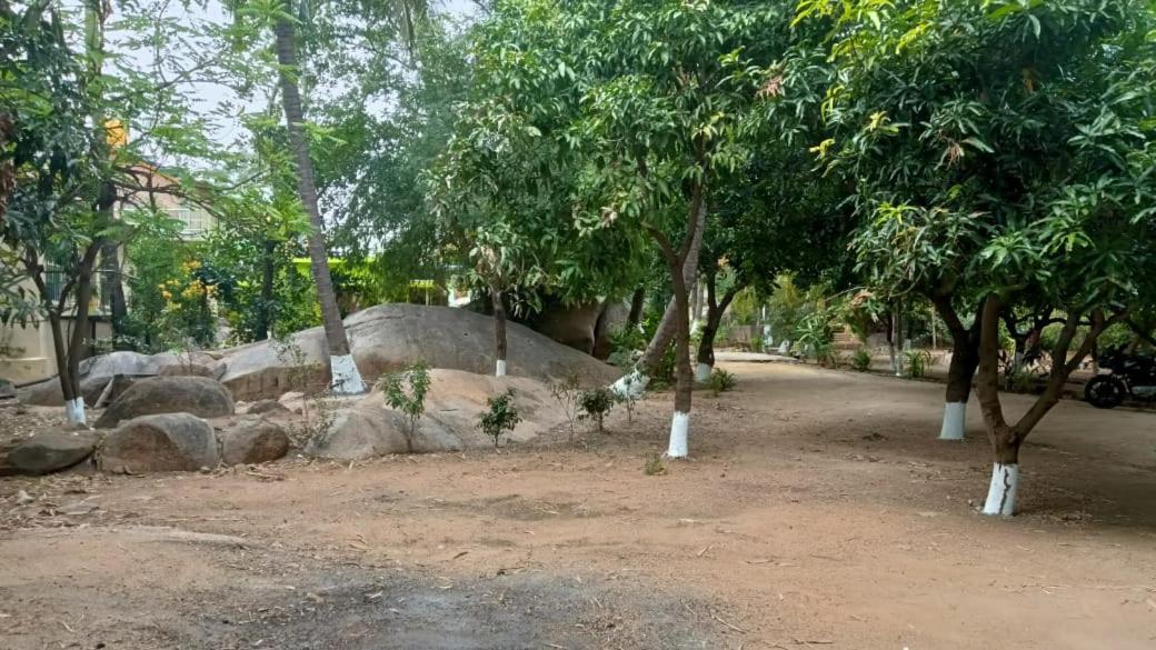 Shankar Homestay Hampi Ngoại thất bức ảnh