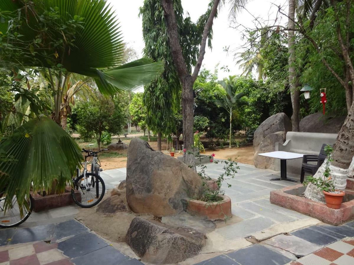 Shankar Homestay Hampi Ngoại thất bức ảnh